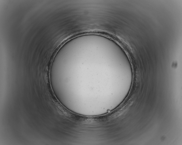 X0000098031265200803280722