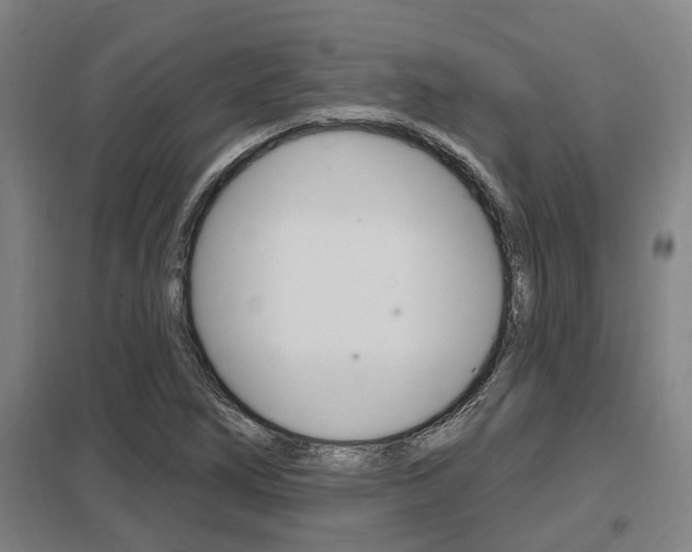 X0000098031266200803280722