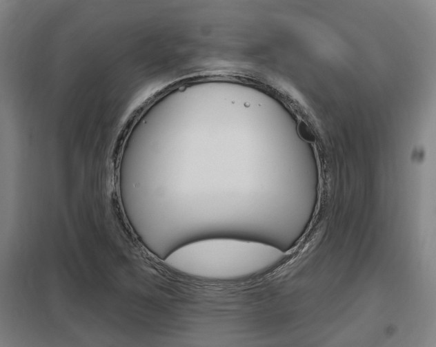X0000098031267200803280722