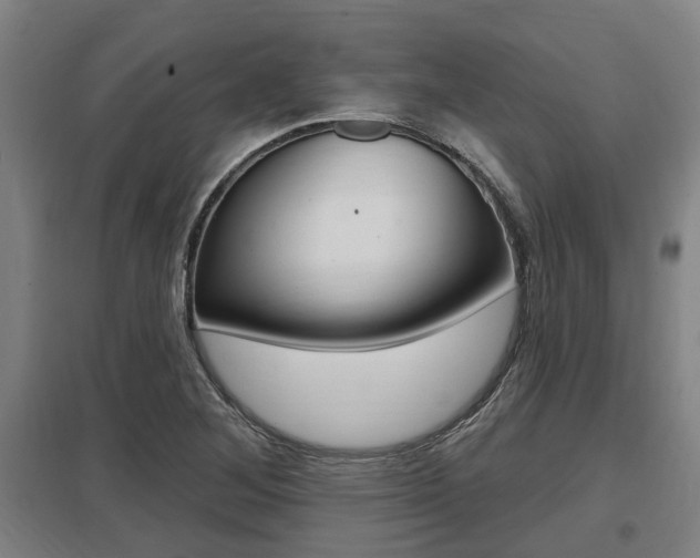 X0000098031268200803280722