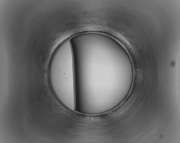 X0000098031269200803280722
