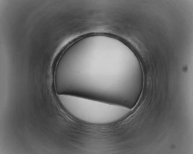 X0000098031270200803280722