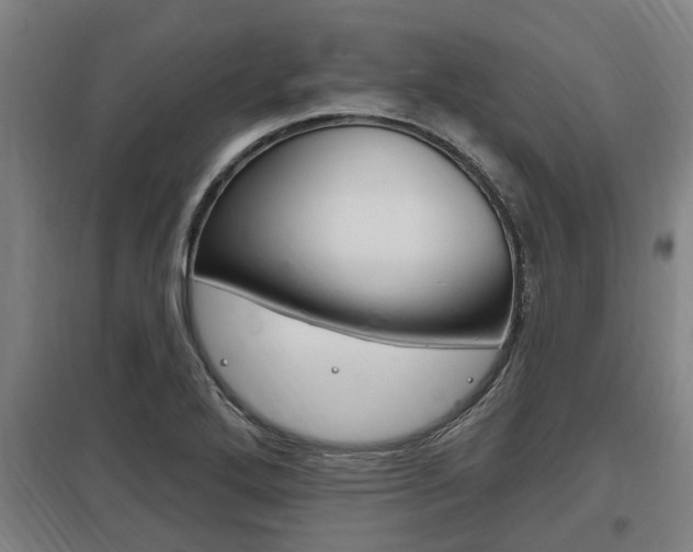X0000098031272200803280722