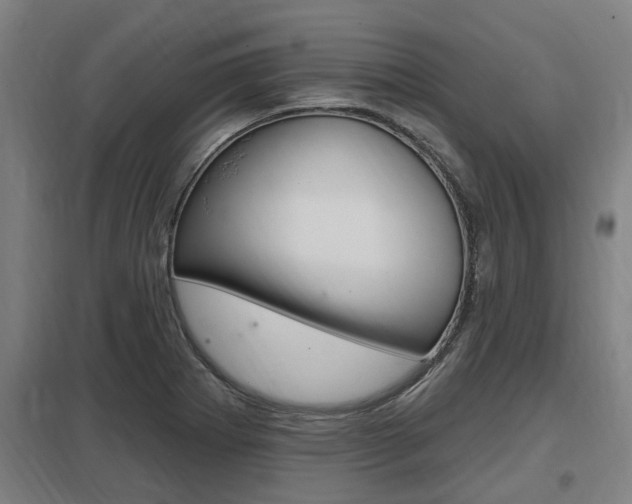 X0000098031273200803280722
