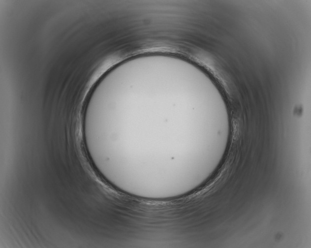 X0000098031274200803280722