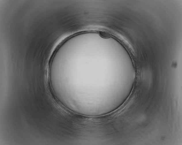 X0000098031275200803280722