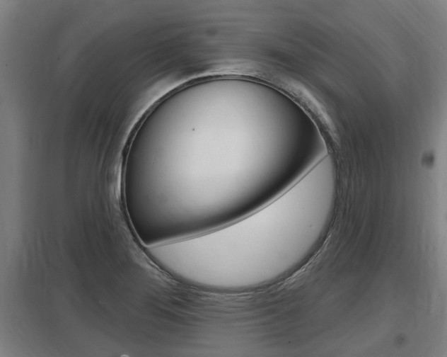X0000098031276200803280722