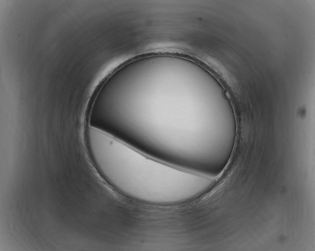 X0000098031277200803280722