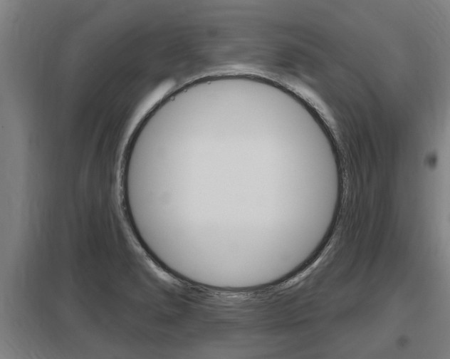 X0000098031278200803280722