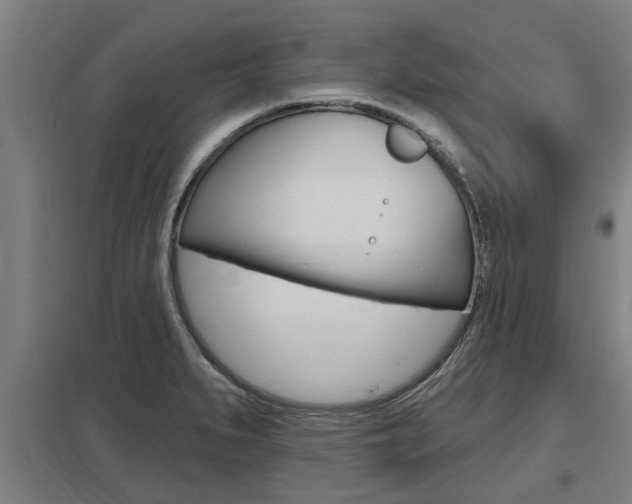 X0000098031279200803280722