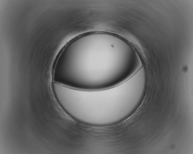 X0000098031280200803280722