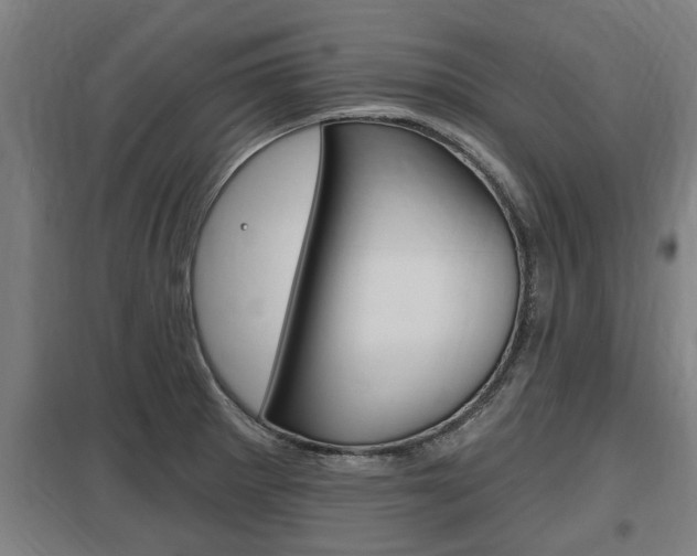 X0000098031281200803280722