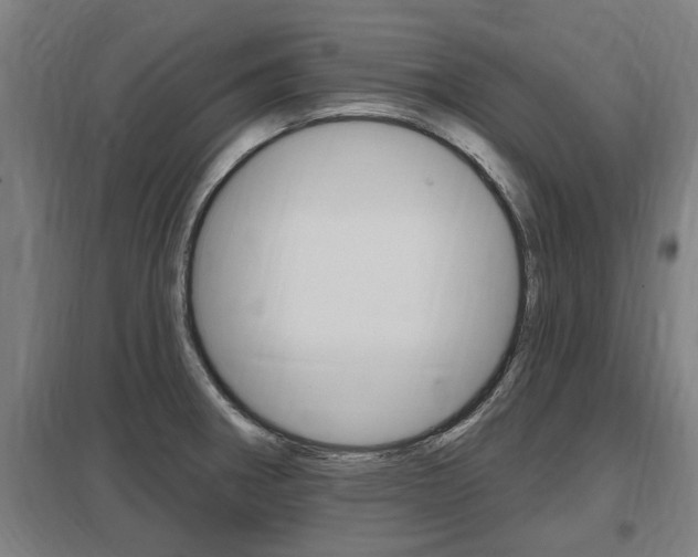 X0000098031282200803280722