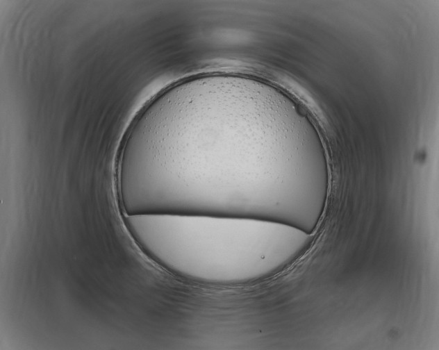 X0000098031283200803280722