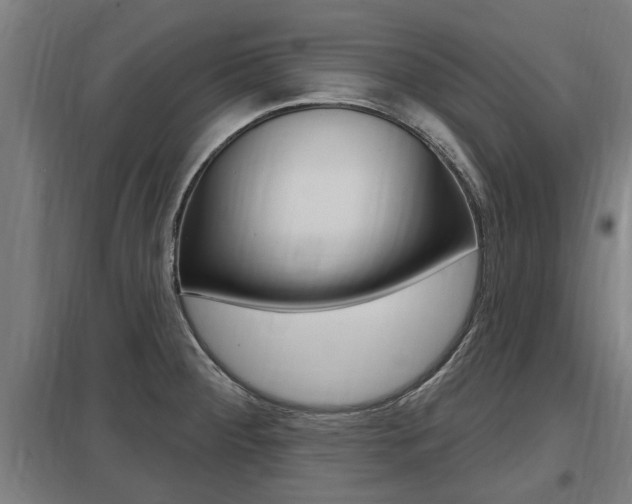 X0000098031284200803280722
