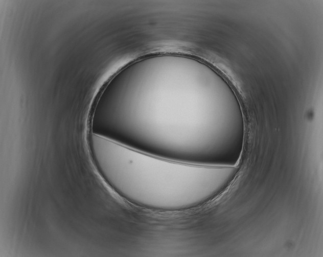 X0000098031285200803280722