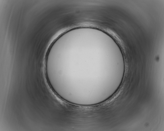 X0000098031286200803280722