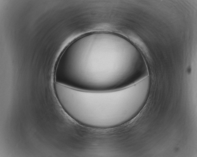 X0000098031288200803280722