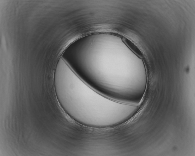X0000098031289200803280722