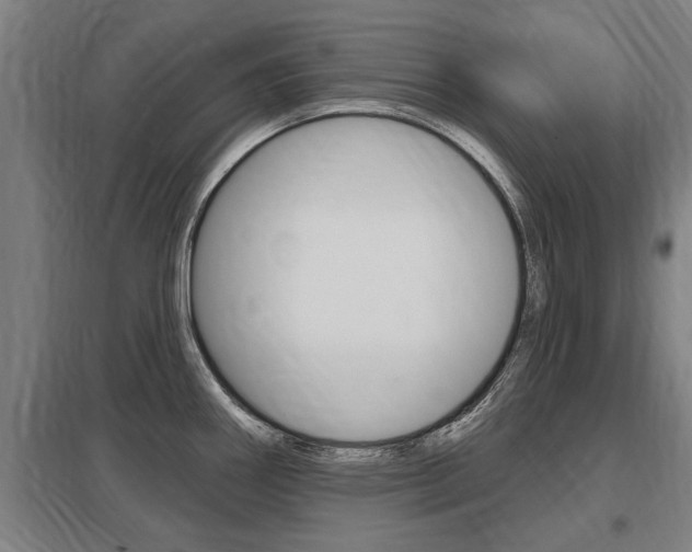 X0000098031290200803280722