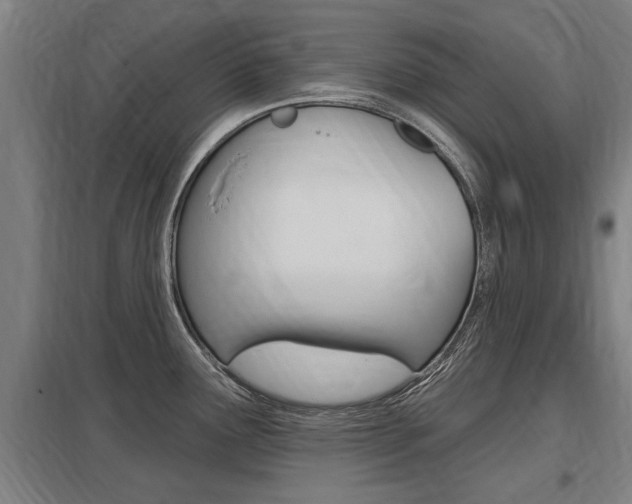 X0000098031291200803280722