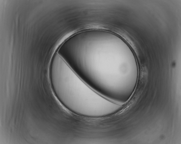 X0000098031293200803280722