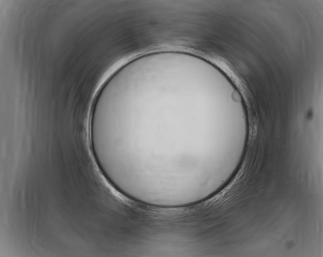 X0000098031294200803280722