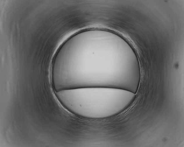 X0000098031295200803280722