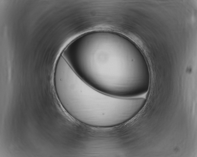 X0000098031296200803280722