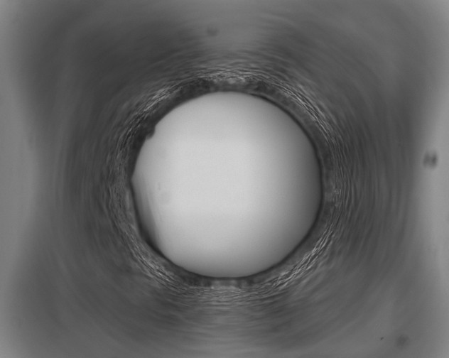 X0000098031297200803280721