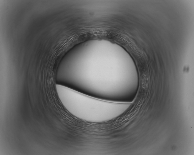 X0000098031298200803280721