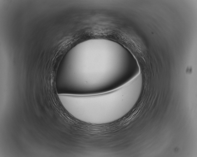 X0000098031300200803280721