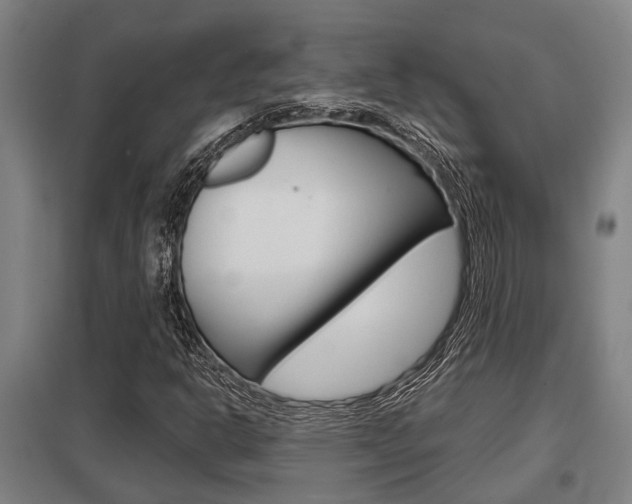 X0000098031302200803280721
