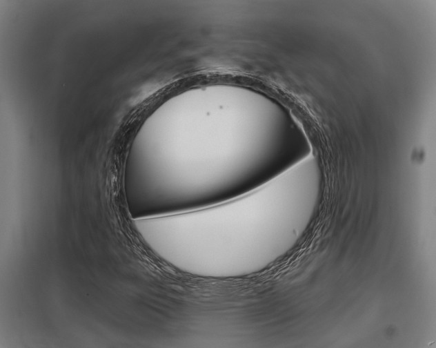 X0000098031303200803280721