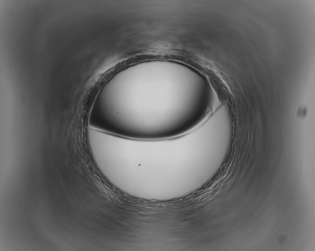 X0000098031304200803280721