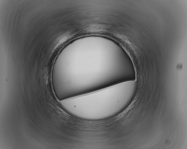 X0000098031306200803280721