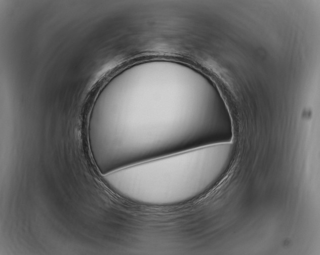 X0000098031307200803280721