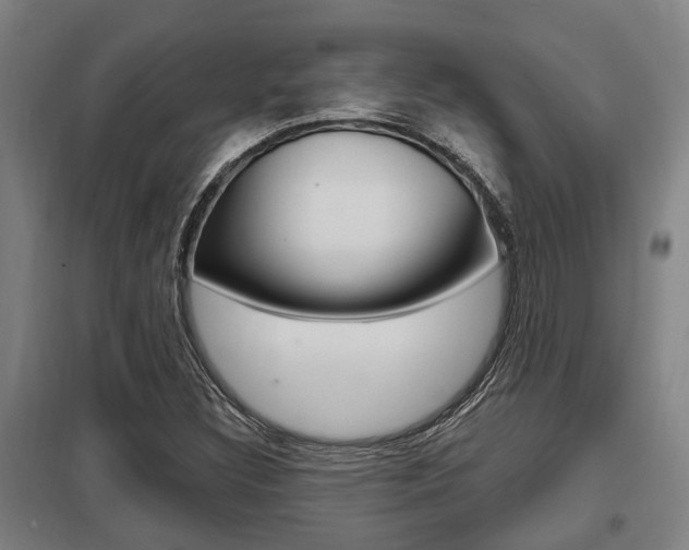 X0000098031308200803280721