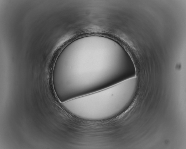 X0000098031309200803280721