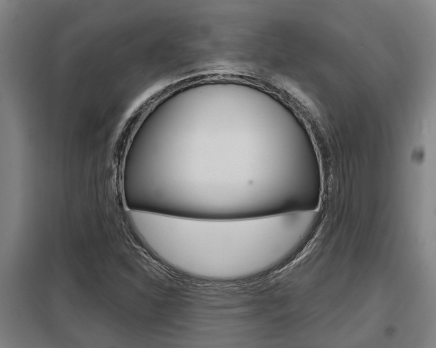 X0000098031310200803280721