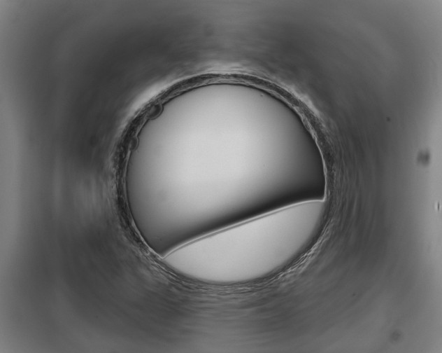 X0000098031311200803280721