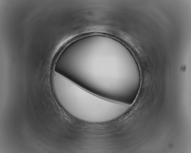 X0000098031312200803280721