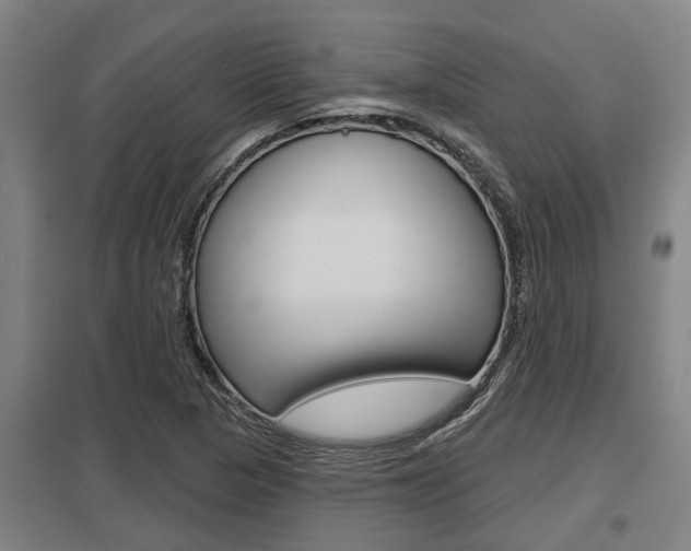 X0000098031313200803280721