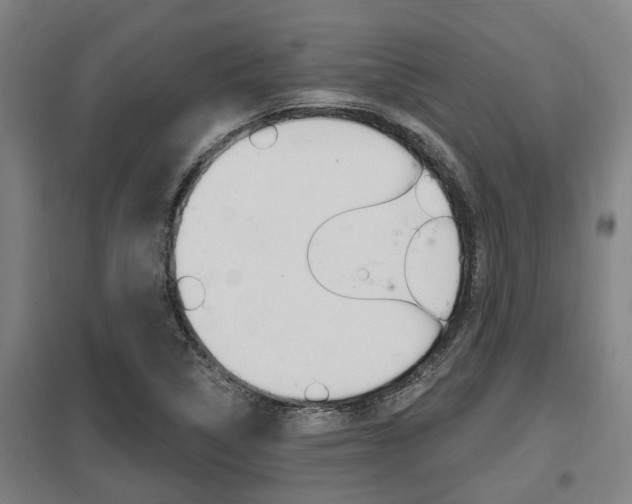 X0000098031314200803280721