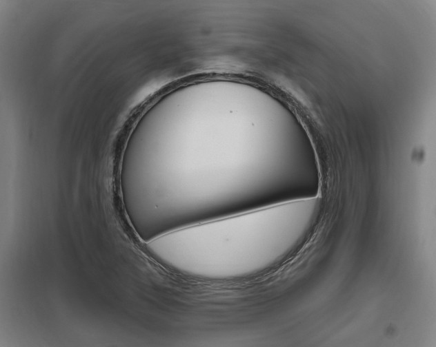 X0000098031315200803280721
