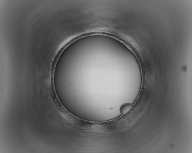 X0000098031316200803280721