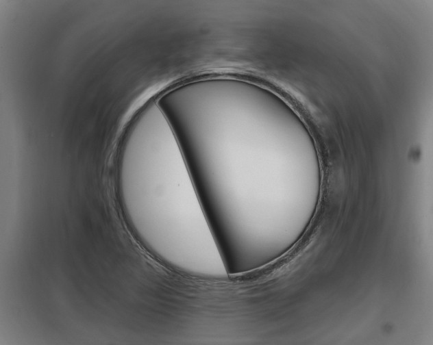 X0000098031317200803280722