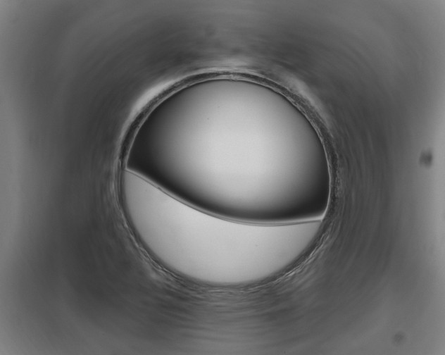 X0000098031320200803280722