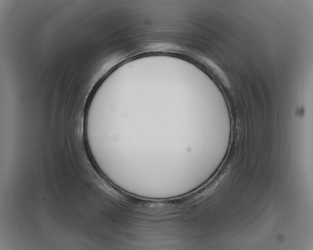 X0000098031322200803280722