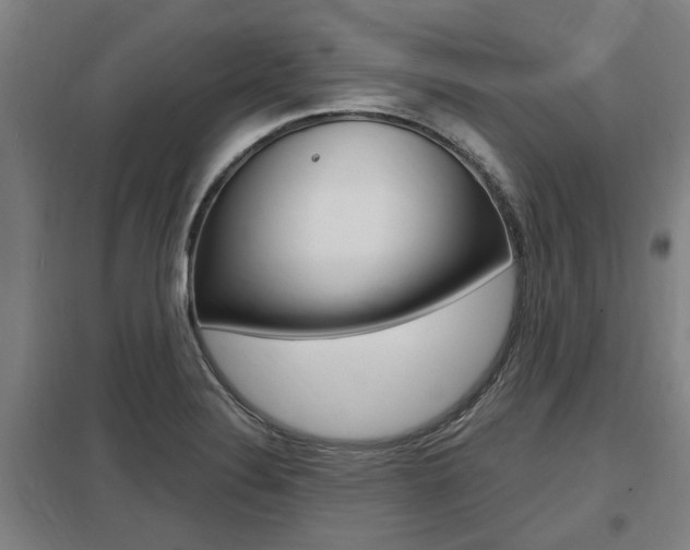 X0000098031324200803280722